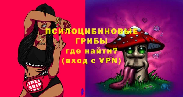 спиды Армянск